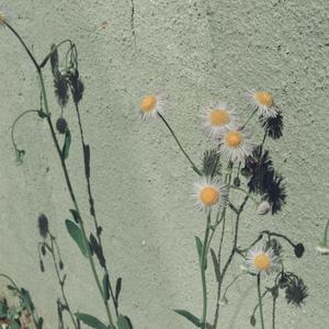 黑人与动物操比777
