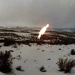 黑人与动物操比777
