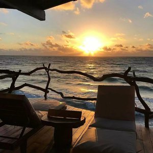 黑人与动物操比777
